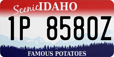 ID license plate 1P8580Z