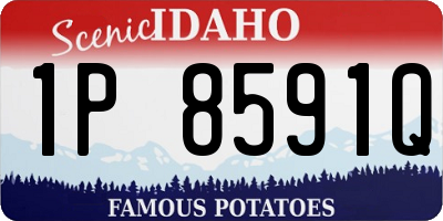 ID license plate 1P8591Q