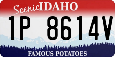 ID license plate 1P8614V