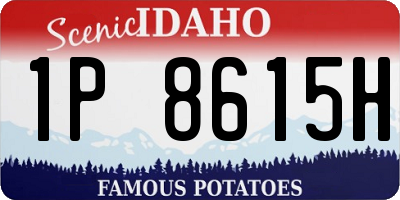 ID license plate 1P8615H