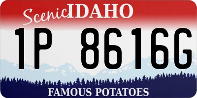 ID license plate 1P8616G