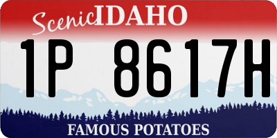 ID license plate 1P8617H