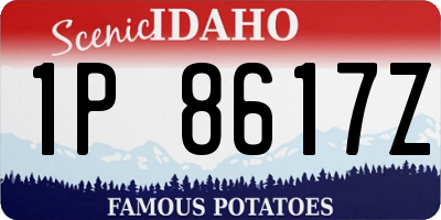 ID license plate 1P8617Z