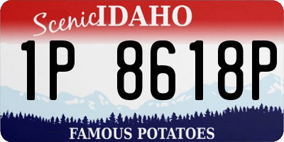 ID license plate 1P8618P