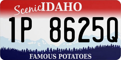 ID license plate 1P8625Q