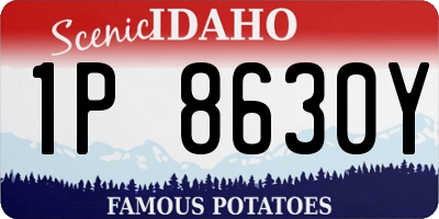 ID license plate 1P8630Y