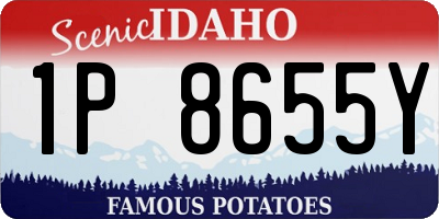 ID license plate 1P8655Y
