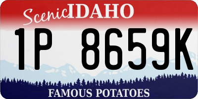 ID license plate 1P8659K