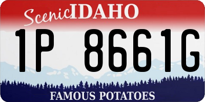 ID license plate 1P8661G