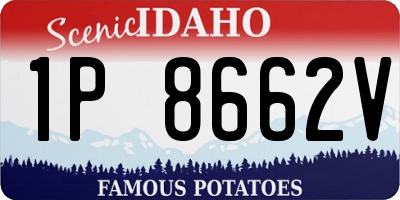 ID license plate 1P8662V