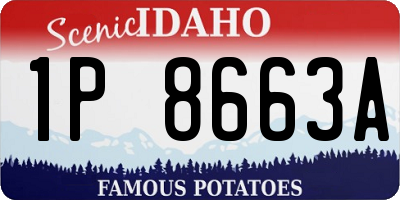 ID license plate 1P8663A