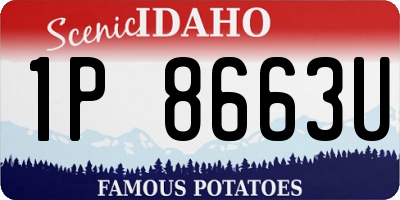 ID license plate 1P8663U