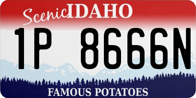 ID license plate 1P8666N