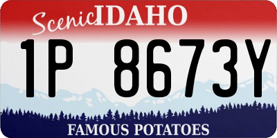 ID license plate 1P8673Y