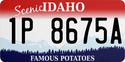 ID license plate 1P8675A