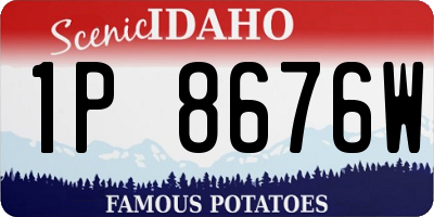 ID license plate 1P8676W