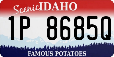 ID license plate 1P8685Q