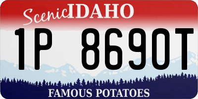 ID license plate 1P8690T