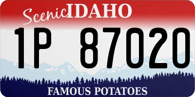 ID license plate 1P8702O