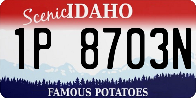 ID license plate 1P8703N