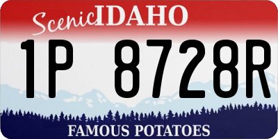 ID license plate 1P8728R