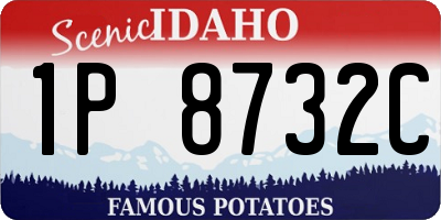 ID license plate 1P8732C