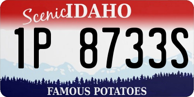 ID license plate 1P8733S