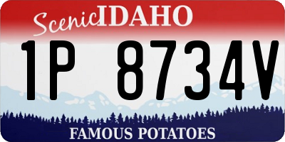 ID license plate 1P8734V