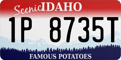 ID license plate 1P8735T