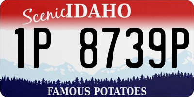 ID license plate 1P8739P