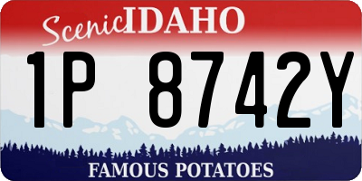 ID license plate 1P8742Y