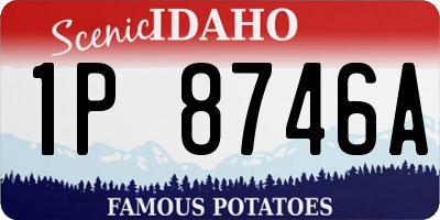 ID license plate 1P8746A