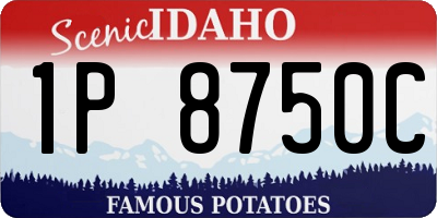 ID license plate 1P8750C
