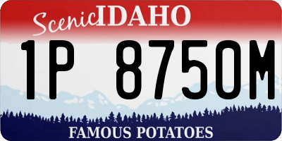 ID license plate 1P8750M