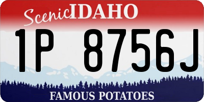 ID license plate 1P8756J