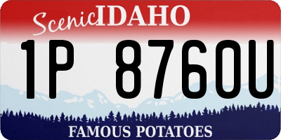 ID license plate 1P8760U