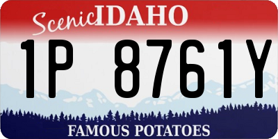 ID license plate 1P8761Y