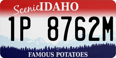 ID license plate 1P8762M