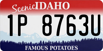 ID license plate 1P8763U