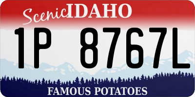 ID license plate 1P8767L