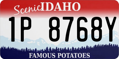 ID license plate 1P8768Y