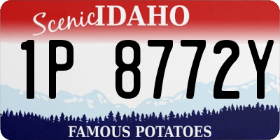 ID license plate 1P8772Y