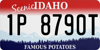 ID license plate 1P8790T