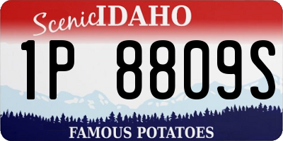 ID license plate 1P8809S