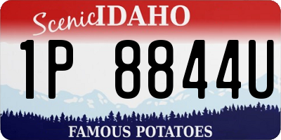 ID license plate 1P8844U