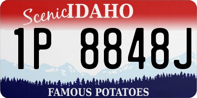 ID license plate 1P8848J