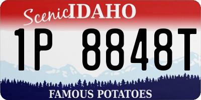 ID license plate 1P8848T