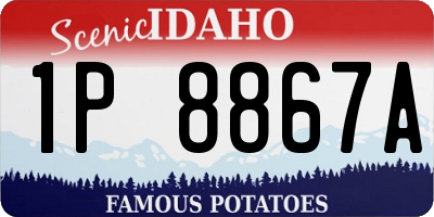 ID license plate 1P8867A
