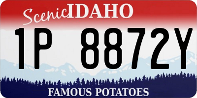 ID license plate 1P8872Y