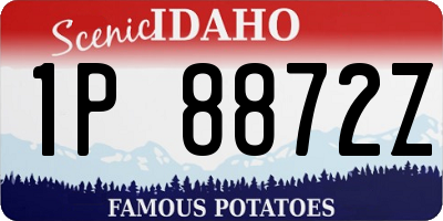 ID license plate 1P8872Z